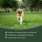 Flyblock - Protective Spray Solution for Adult Dogs and Puppies 150 ml