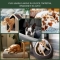 Flyblock - Protective Spray Solution for Adult Dogs and Puppies 150 ml