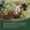 Flyblock - Protective Spray Solution for Cats 150 ml