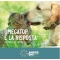 Omegatop - Sanitizing Protective Spray for Skin and Coat of Dogs and Cats 150 ml