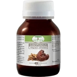 Ganofungus - Immune boost supplement 60 capsules