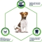 Dental Care - Stick for Mini Dogs Deep Oral Hygiene and Fresh Breath 90 gr