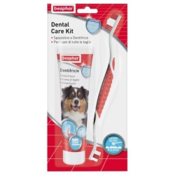 Dental Care Kit - Toothbrush and Toothpaste