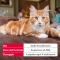 Fiprotec - 3 Pipettes Spot-on Cat Antiparasitic 50 mg