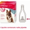 Fiprotec - Antiparasitic 3 Pipettes for Medium-Sized Dogs 10-20 kg against Fleas and Ticks