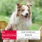 Fiprotec - Antiparasitic 3 Pipettes for Medium-Sized Dogs 10-20 kg against Fleas and Ticks