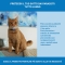 FRONTLINE Spot-On - 3 Pipettes for Cats and Kittens, 0.5 ml