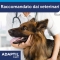 Adaptil Calm - 3 Diffuser Refills with Pheromones for Dog Serenity 60 ml