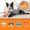 Thundershirt - Calming Anti-Stress and Anti-Anxiety Coat for Dogs Size XS Grey