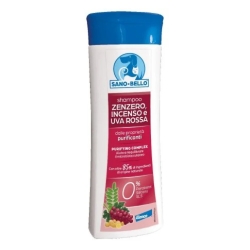 Healthy and Beautiful - Sanitizing Protective Shampoo with Ginger, Incense, and Red Grape - 250 ml