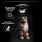 Purina Pro Plan Sensitive Digestion Lamb - Complete food for medium-breed puppies 3 kg