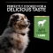 Purina Pro Plan Sensitive Digestion Lamb - Complete food for medium-breed puppies 3 kg
