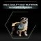 Purina Pro Plan Sensitive Digestion Lamb - Complete food for medium-breed puppies 3 kg