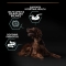 Purina Pro Plan Adult Large Athletic Lamb - Complete food for adult dogs with sensitive digestion 14 kg