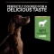 Purina Pro Plan Adult Large Athletic Lamb - Complete food for adult dogs with sensitive digestion 14 kg