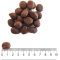 Grain Free Medium-Large Beef and Potatoes - Complete food for sensitive adult dogs 10 kg