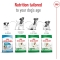 Mini Adult - Complete food for small breed adult dogs 800g