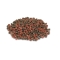 Coldwater Granules Mini - Granular food for small ornamental goldfish 100 ml