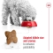 Mini Adult - Dry food for adult dogs of mini size 2 kg
