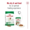 Mini Adult - Dry food for adult dogs of mini size 2 kg