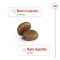 Maxi Adult 5 più - Dry food for adult dogs of large breeds, 4 kg