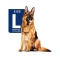 Maxi Adult 5 più - Dry food for adult dogs of large breeds, 4 kg