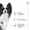 X-SMALL AGEING 12 più - Complete food for mini-sized adult dogs 1.5 kg