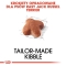 Jack Russell Terrier - Complete food for adult dogs 1.5 kg
