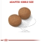 MAXI ADULT - Complete food for large breed adult dogs 12 kg