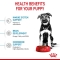 Puppy Maxi - Complete food for large breed puppies 3 kg