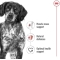 Medium Adult - Complete food for medium-sized adult dogs 12 kg