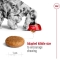 Medium Adult - Complete food for medium-sized adult dogs 12 kg