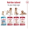 Medium Adult - Complete food for medium-sized adult dogs 12 kg