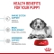 Medium Puppy - Complete food for medium-sized puppies 3 kg