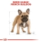 French Bulldog Adult - Complete food for adult dogs 9 kg