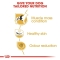 French Bulldog Adult - Complete food for adult dogs 9 kg
