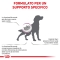 Early Renal - Complete food for dogs with chronic renal failure 2 kg