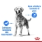 LIGHT WEIGHT CARE - Complete food for medium-sized adult dogs for weight control 12 kg