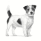 Anallergic Small Dog - Complete food for small dogs with food intolerances 1.5 kg