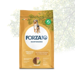 Maintenance Chicken and Potatoes - Complete food for adult dogs for maintenance 12 kg