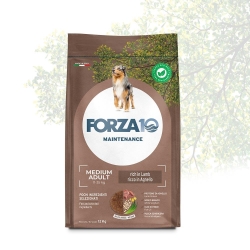 Medium-Adult Maintenance Lamb Croquettes - Complete food for adult dogs 12 kg
