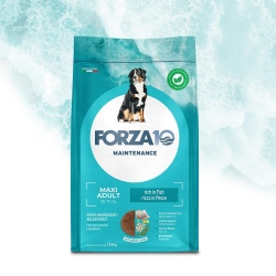 Maintenance Fish - Complete dry food for large adult dogs 12 kg