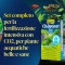 Co2-Optimat Set for Aquariums up to 100 Liters with 11 g Cylinder