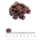 Prolife Sensitive Adult Medium-Large Lamb and Rice - Complete food for sensitive adult dogs 10 kg