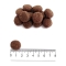 Prolife Sensitive Adult Lamb and Rice - Complete food for sensitive adult dogs of medium and large breeds 2.5 kg
