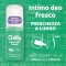 CHILLY Fresh Intimate Deodorant pH5 with menthol and prebiotics 50 ml