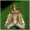 Food Moth Repellent - 4 Sticky Traps