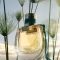 Nomade Jardin D'Egypte - Eau De Parfum for Women 50 ml Vapo