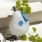 Wind - Eau De Toilette Unisex 100 ml Vapo