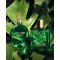Verde Assoluto - Eau De Parfum Women 75 ml Vapo